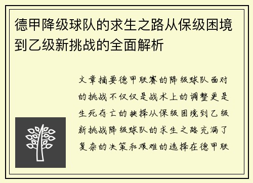 德甲降级球队的求生之路从保级困境到乙级新挑战的全面解析