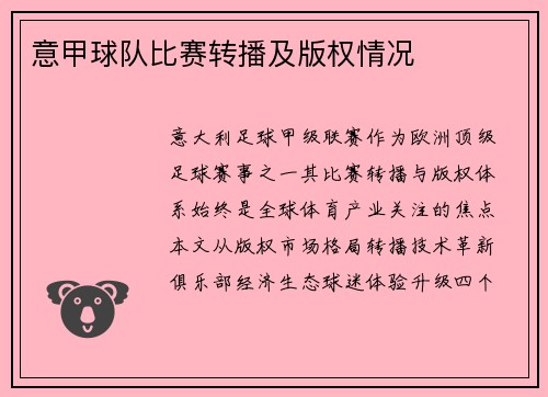 意甲球队比赛转播及版权情况