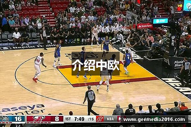 介绍中欧